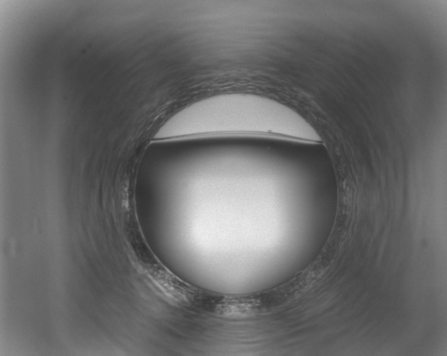 X0000052550368200507010851
