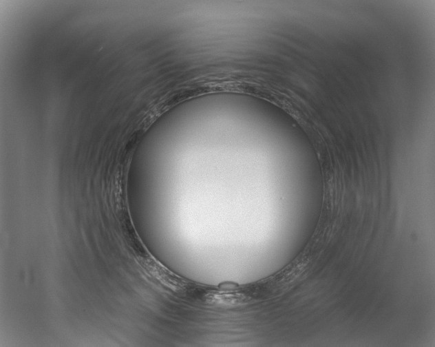 X0000052550372200507010851
