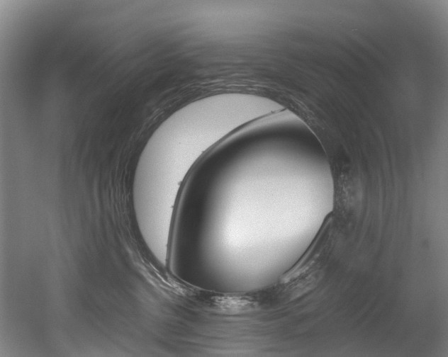 X0000052550380200507010851
