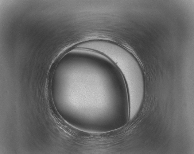 X0000052550387200507010850