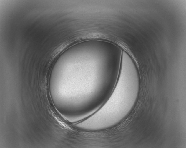 X0000052550389200507010850