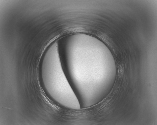 X0000052550390200507010850