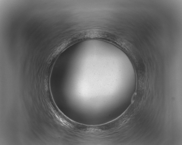 X0000052550393200507010850