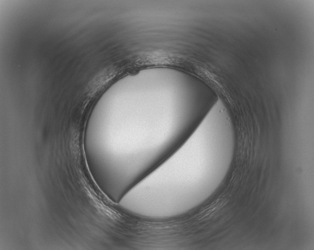 X0000052550394200507010850