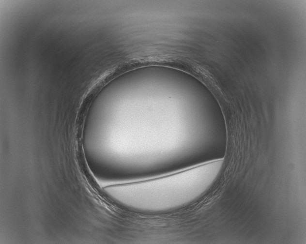 X0000052550395200507010850