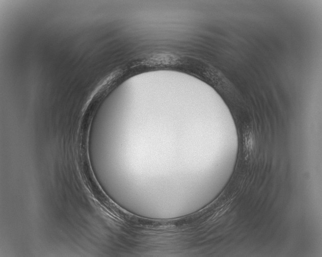 X0000052550396200507010850