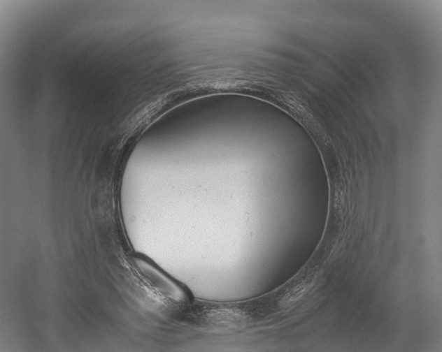 X0000052550397200507010850