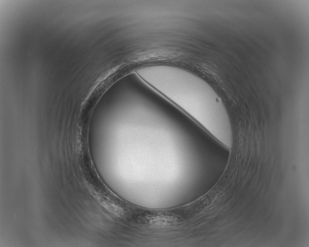 X0000052550400200507010850