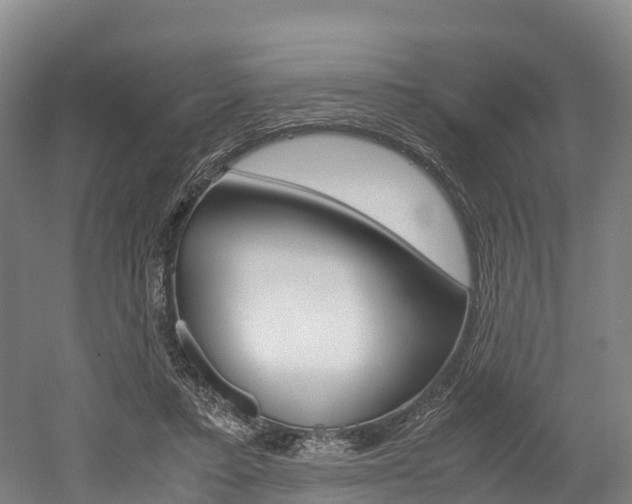 X0000052550403200507010850