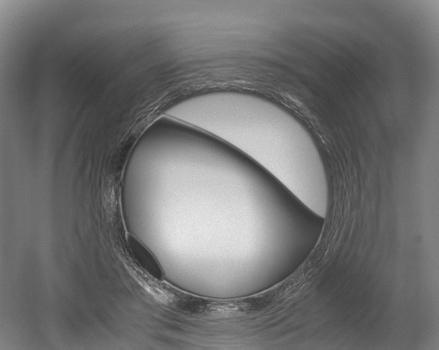 X0000052550405200507010850