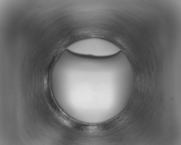 X0000052550406200507010850