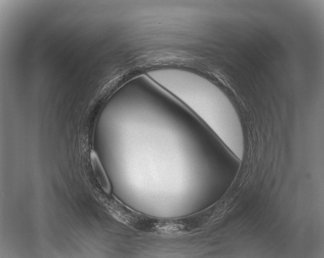 X0000052550407200507010850