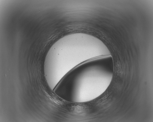 X0000052550412200507010850