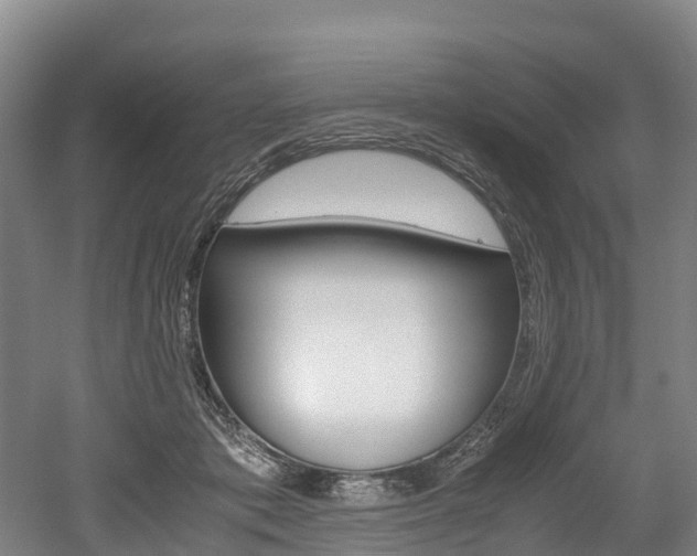 X0000052550413200507010850