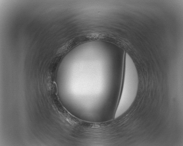 X0000052550416200507010850