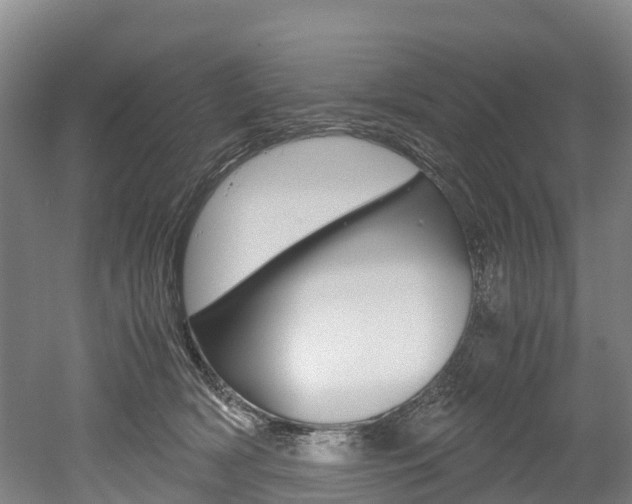 X0000052550418200507010850