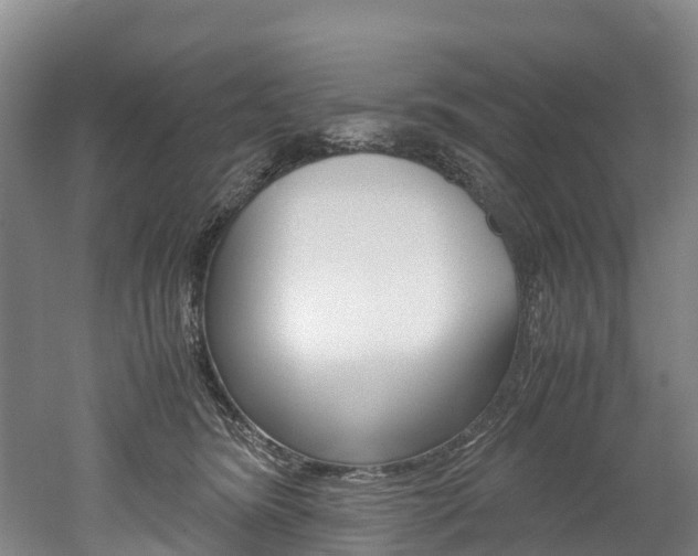 X0000052550420200507010850