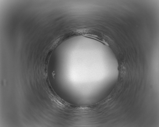X0000052550428200507010850