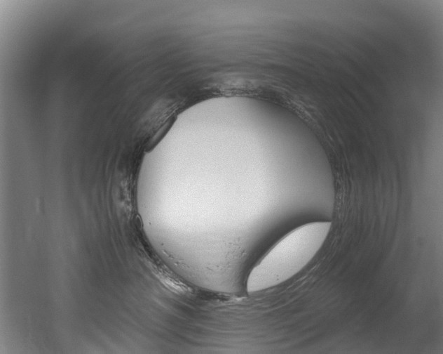 X0000052550430200507010850