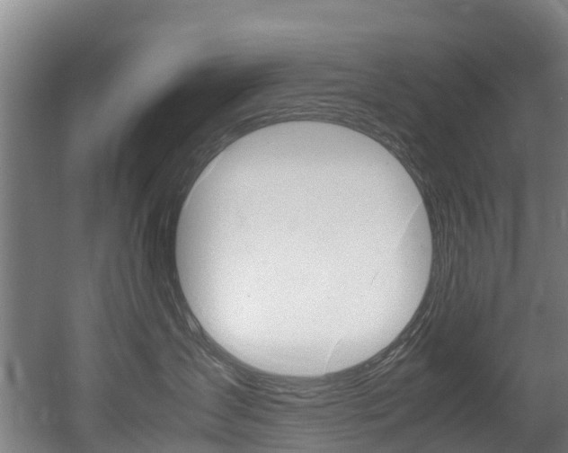 X0000052550431200507010850