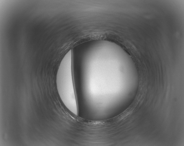 X0000052550432200507010850