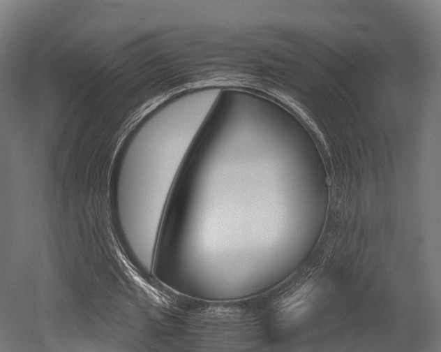 X0000052550437200507010849
