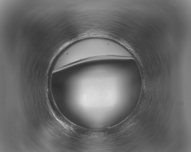 X0000052550438200507010849