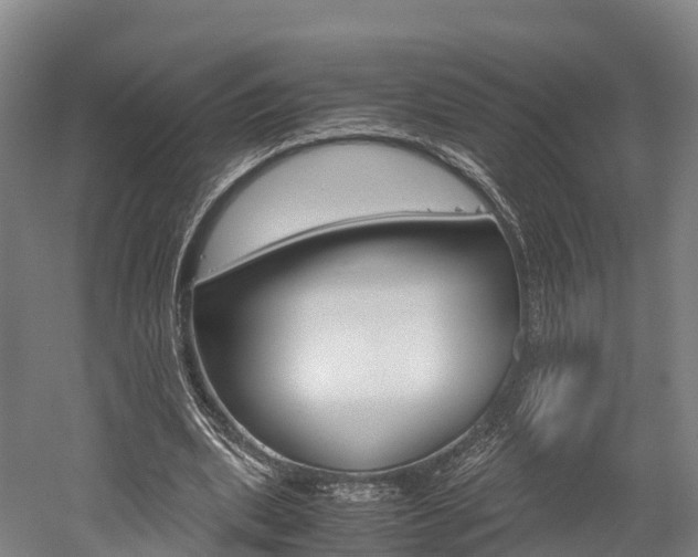 X0000052550439200507010849