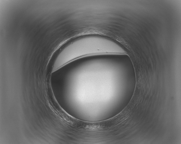 X0000052550440200507010849