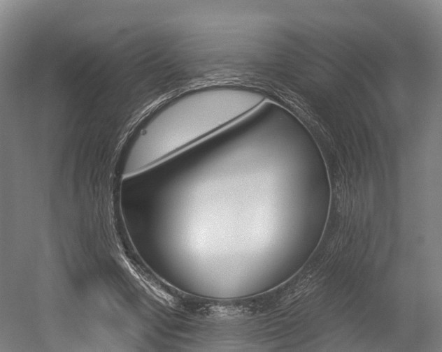 X0000052550442200507010849