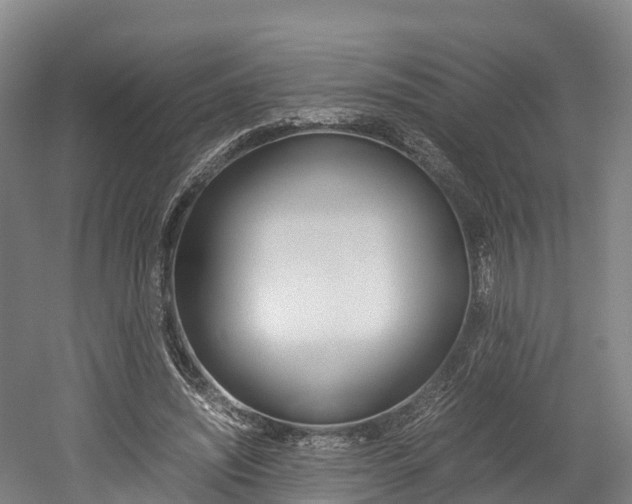X0000052550444200507010849