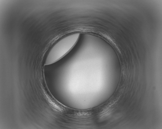 X0000052550445200507010849