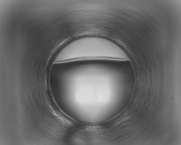 X0000052550446200507010849