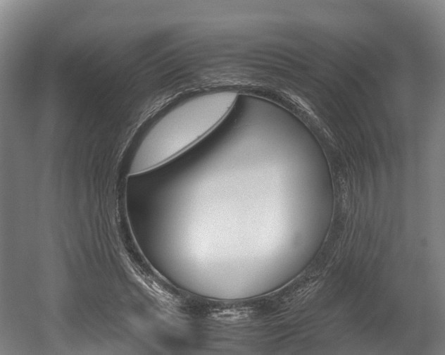 X0000052550447200507010849