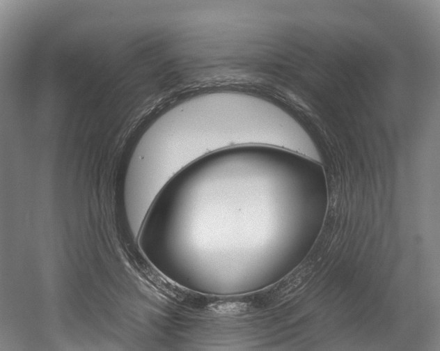 X0000052550452200507010849