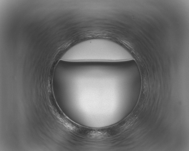 X0000052550453200507010849