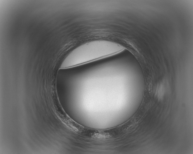 X0000052550455200507010849