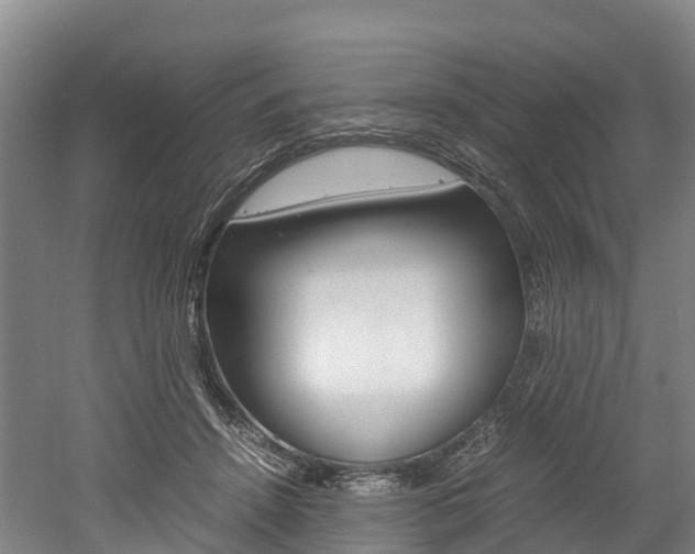 X0000052550456200507010849