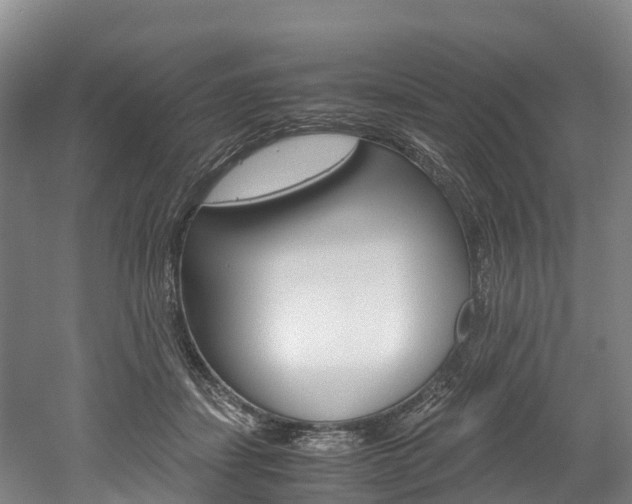 X0000052550459200507010849
