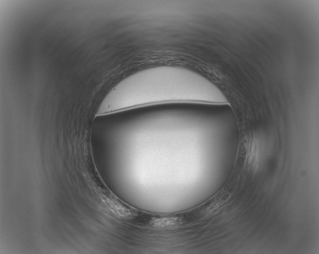 X0000052550461200507010849