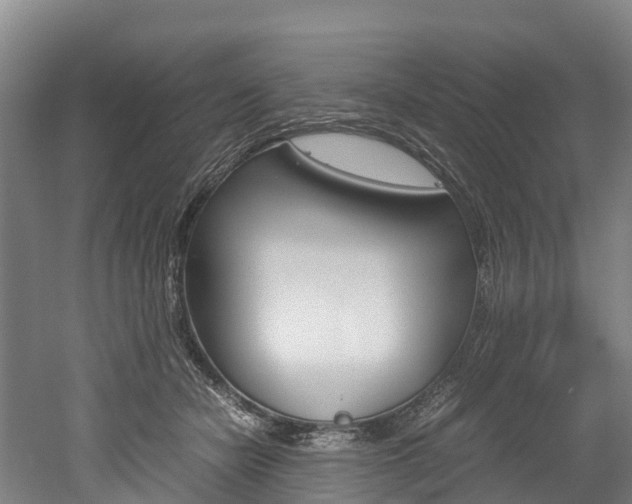 X0000052550462200507010849
