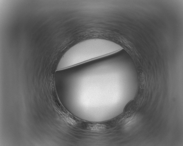 X0000052550463200507010849