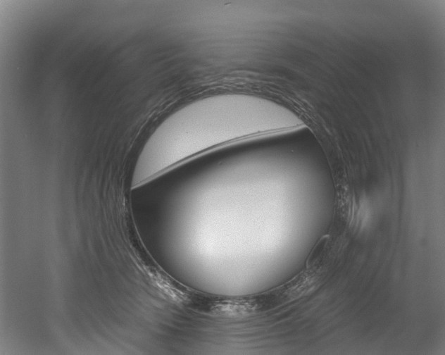 X0000052550466200507010849