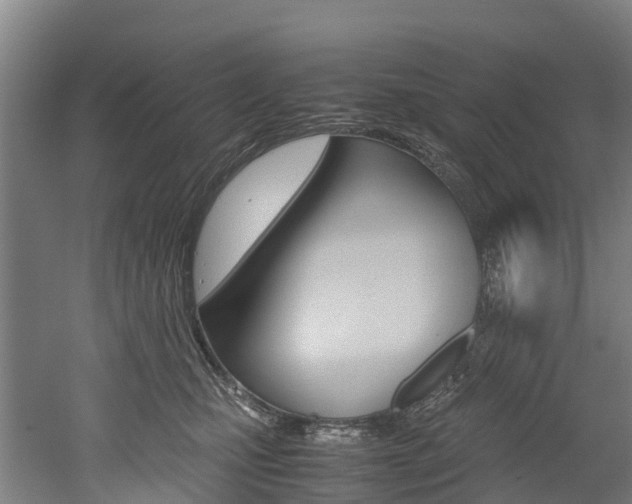 X0000052550471200507010850