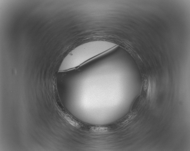 X0000052550476200507010850