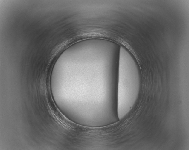 X0000052550482200507010849