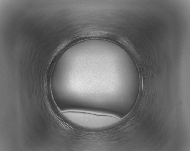 X0000052550483200507010849