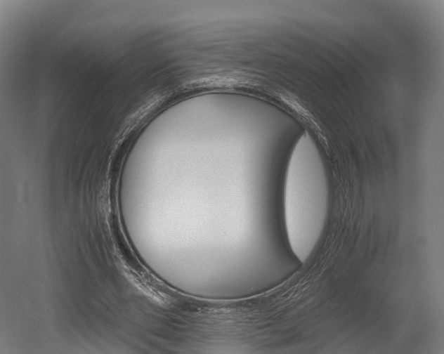 X0000052550486200507010849