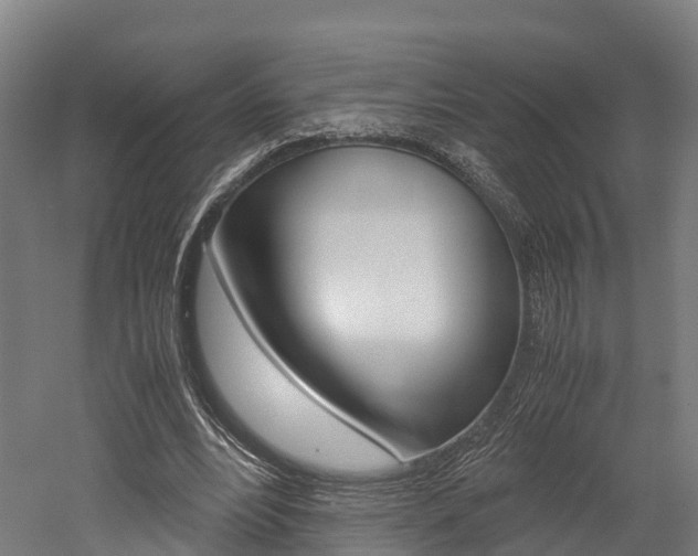 X0000052550488200507010849
