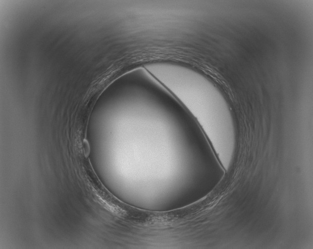 X0000052550489200507010849